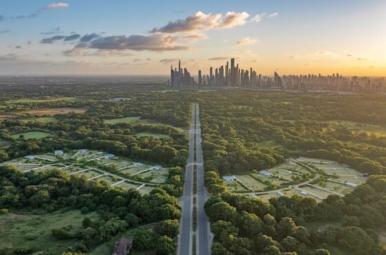 Dholera Forest Estate